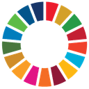 SDG Wheel