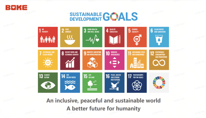 sdg goal